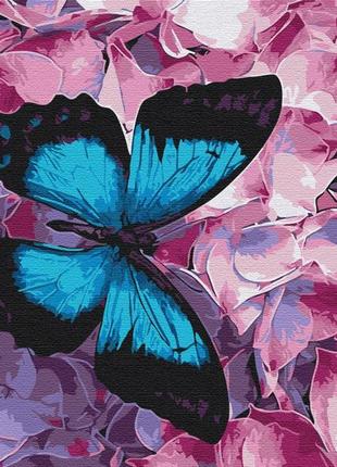 Картина по номерам 48х60 на деревянном подрамнике "бабочка на цветах" bs21627l