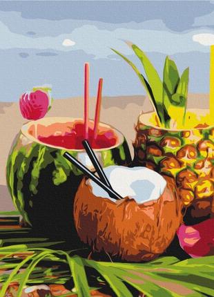 Картина за номерами 48х60 на дерев'яному підрамнику "літні коктейлі" bs24947l