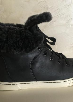 Кожаные кеды ботинки  ugg женские starlyn 100% оригинал! цигейка5 фото