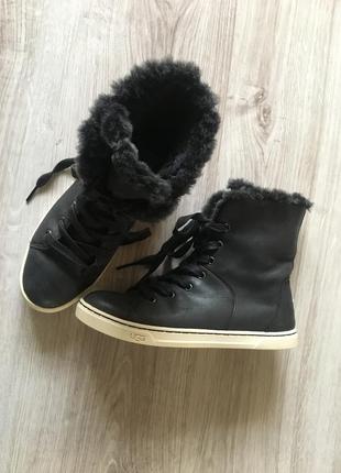 Кожаные кеды ботинки  ugg женские starlyn 100% оригинал! цигейка3 фото