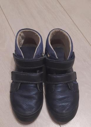 Кожаные ботинки для девочки  d.d.step4 фото