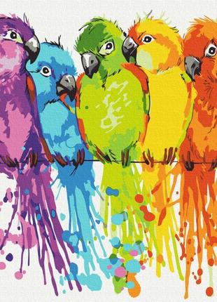 Разноцветные попугаи