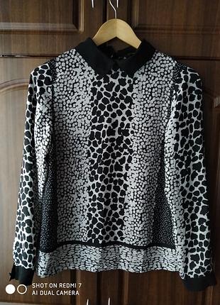 Кофта,блуза,1+1=3