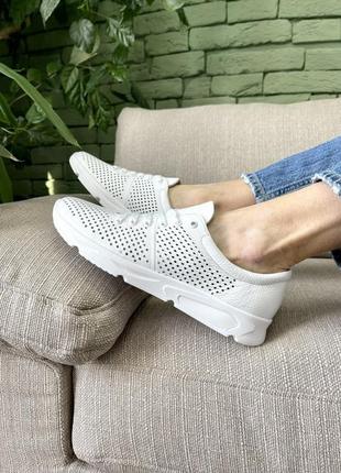 Жіночі літні легкі білі кросівки з перфорацією шкіряні,натуральна шкіра-жіноче взуття на літо 20248 фото