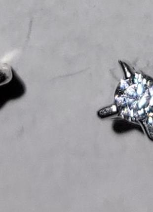 Срібні пусети на закрутці