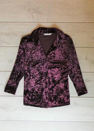 Велюрова ніжна блуза сорочка від amaranto1 фото