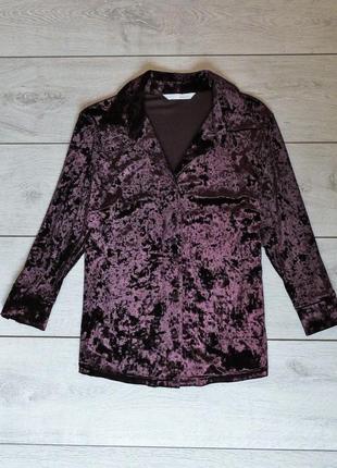 Велюрова ніжна блуза сорочка від amaranto2 фото