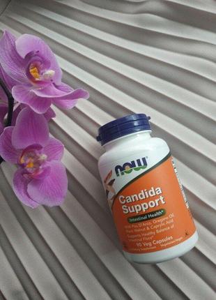 Now foods, candida support, 90 растительных капсул