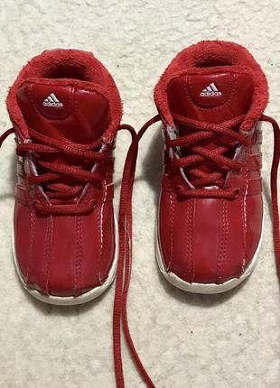 Ботинки утеплённые кроссовки высокие adidas (оригинал)