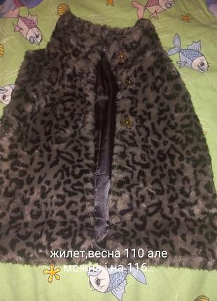 Жилет ,стан нового 110