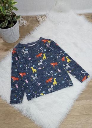 Трикотажний регланчик на 5-6 років