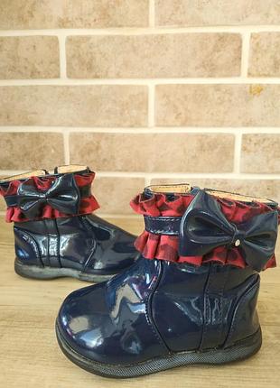 Демисезонные сапоги, демисезонные ботинки.