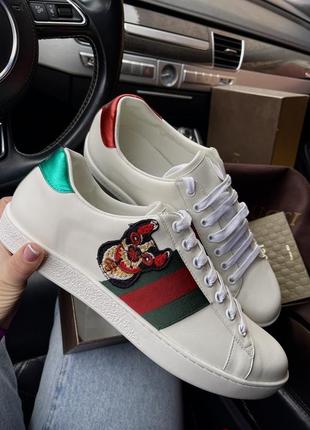 Шкіряні кеди gucci білі