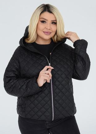 Куртка батал на весну осінь. куртка демі батал. 50-60.