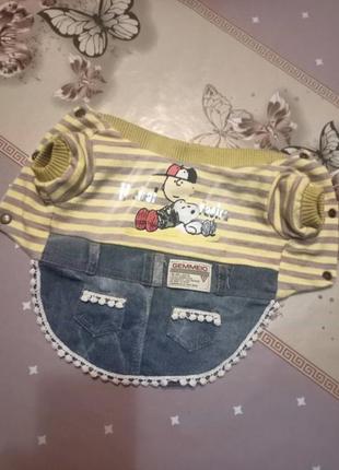 Одежда для любимой собачки