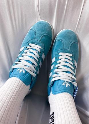 Кросівки adidas gazelle blue green