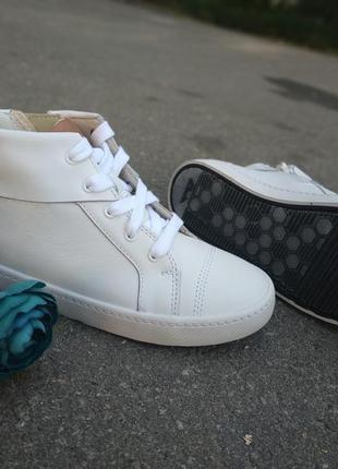 Нові стильні шкіряні черевики хай-топи clarks