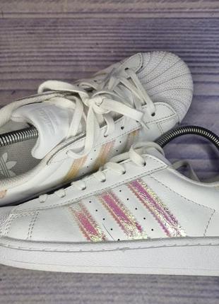 Кеды adidas superstar