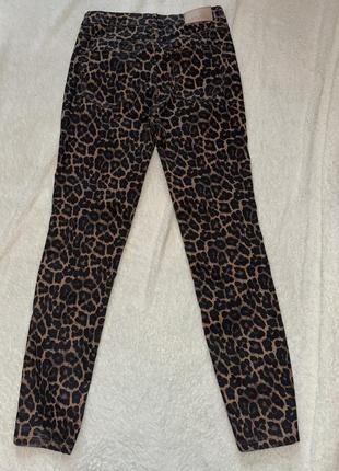 Леопард штани джинси леопардові брюки2 фото
