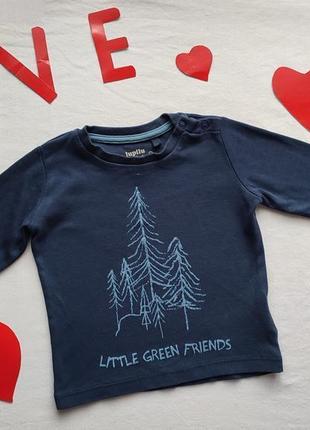 Реглан, кофта lupilu для мальчика 6-18 месяцев