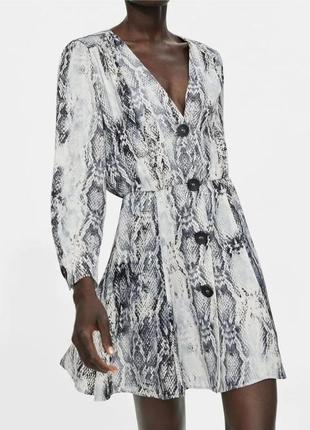 Анімалістична сукня, плаття платье zara