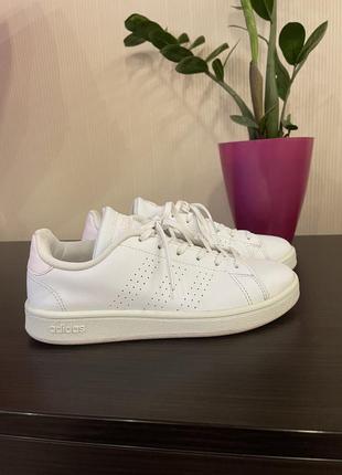 Жіночі білі кросівки adidas 36.5