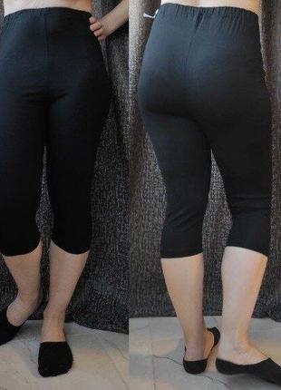 Жіночі легінси великого розміру з 48 по 62