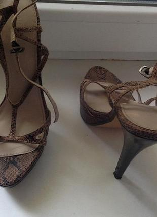 Босоніжки с т образної перетинкою colin stuart пітон