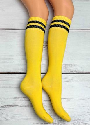 Високі гольфи twinsocks