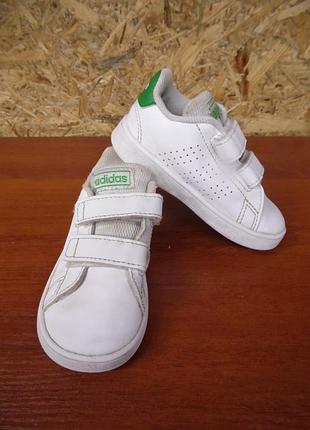 Кеди adidas