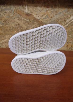 Кеди adidas 6