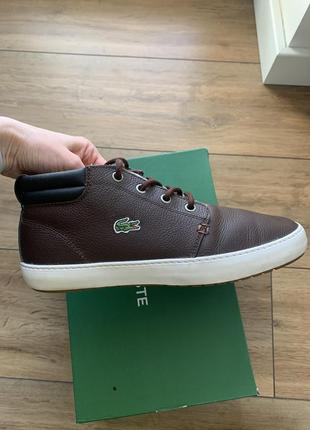 Кеди lacoste