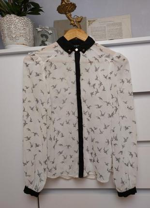Нарядная полупрозрачная блуза с птицами2 фото