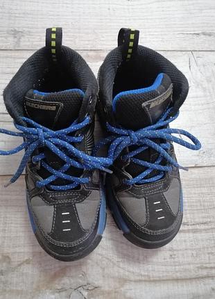 Черевики skechers 5