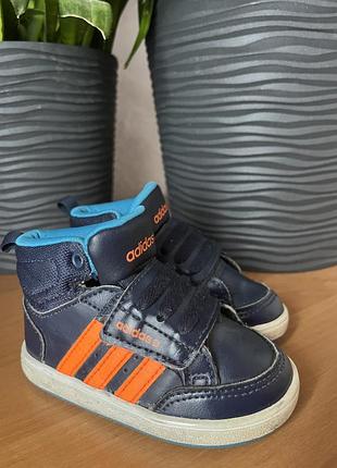 Кросівки кеди хайтопи снікери adidas