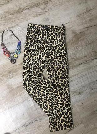 Капри брюки штаны вельвет укороченные леопардовый супер стильные трендовые принт тигровые club donna5 фото
