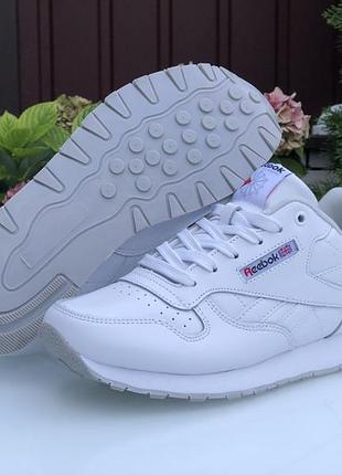 Жіночі кросівки reebok classic white рібок білого кольору