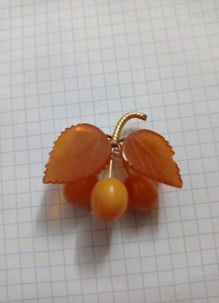 Янтарь, янтарна брошка, біла слива