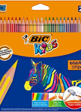 Олівці кольорові bic evolution stripes 24 шт (bc950525)