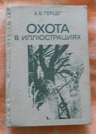 "охота в иллюстрациях"