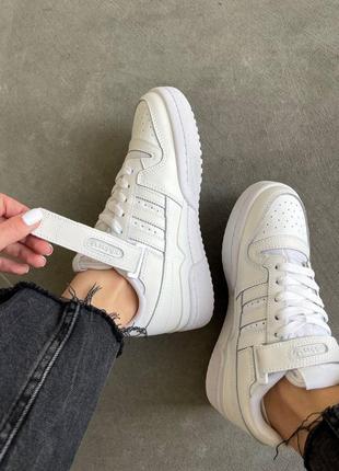 Кросівки adidas forum low white