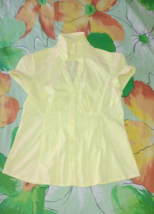 Тоненькая рубашк/блузка/блуза с коротким рукавом цвета солнца лимона.9 фото