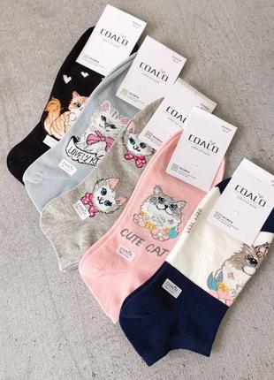 Жіночі шкарпетки з котиками