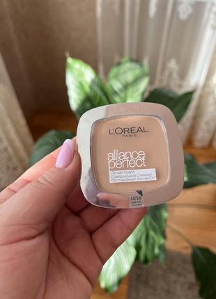 Пудра лореаль l’oréal alliance perfect