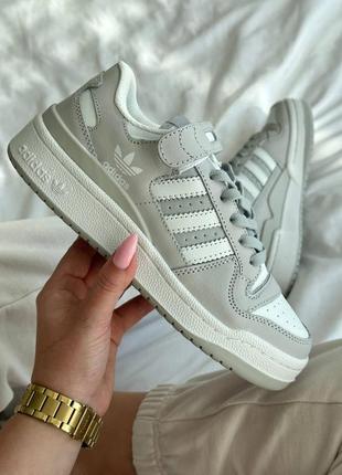 Кросівки adidas forum grey