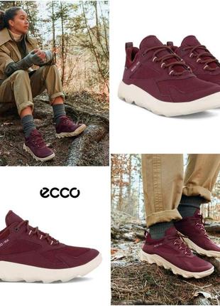 Кроссовки ecco mx gore-tex4 фото