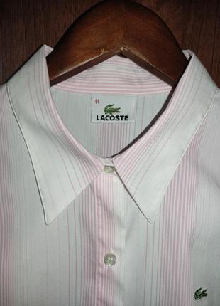 Стильна котонова сорочка у смужку lacoste9 фото