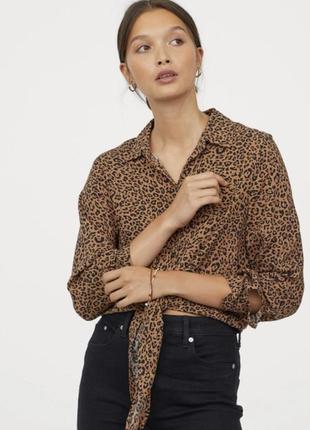Блуза леопардова1 фото