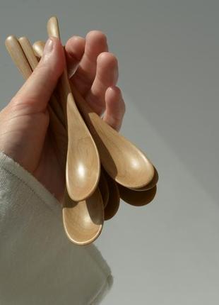 Ложка для спецій. десертна ложка. ложка для годування.