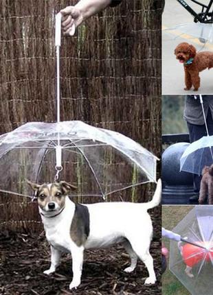 Парасолька для собаки resteq. парасолька з ланцюгом для собак. собача парасолька2 фото
